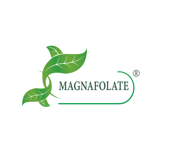 Cad é Magnafolate®? Folate VS Aigéad Fólach, Cad é an Difríocht?