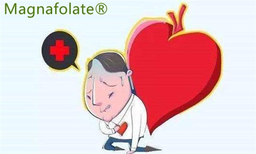 L-5-Methylfolate: D'fhéadfadh sé Riosca Stróc & Ionsaí Croí a Laghdú