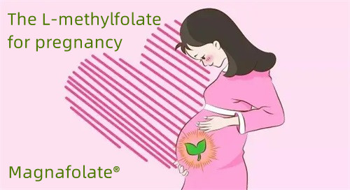 An L-methylfolate do dhaoine toirchis