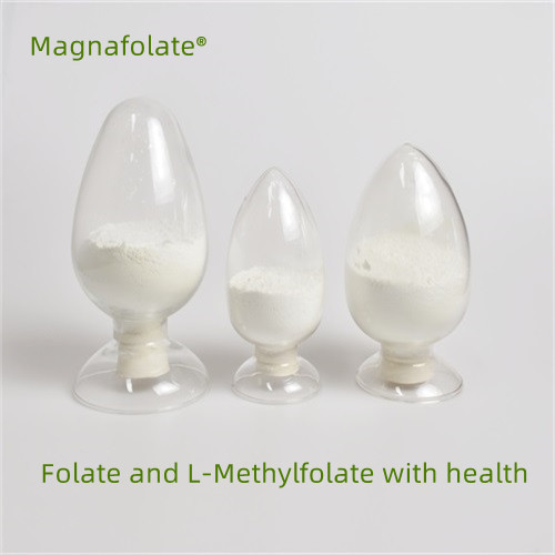 Folate agus L-Methylfolate le sláinte