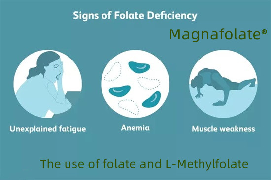 Úsáid folate agus L-Methylfolate