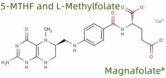 5-MTHF agus L-Methylfolate