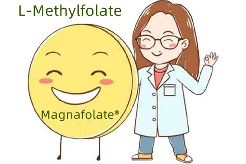 Foinse forlíontach aigéad fólach agus L-Methylfolate