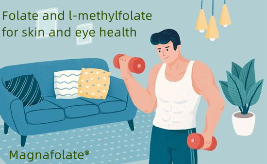 Folate agus l-methylfolate le haghaidh sláinte craicinn agus súl