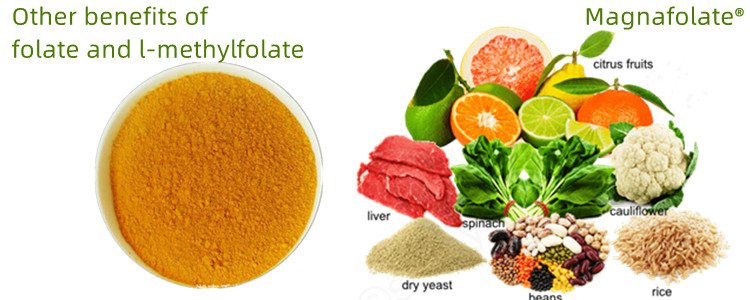 Buntáistí eile folate agus L-Methylfolate