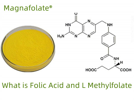 Cad é Aigéad Fólach agus Methylfolate