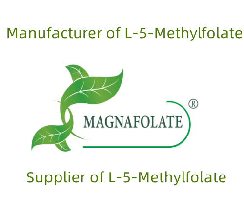 Cé a mhonaraíonn L-methylfolate?