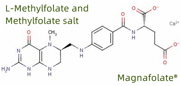 Monaróir Domhanda & Soláthraí L Methylfolate