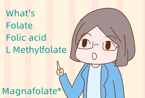 Cad é folate agus aigéad fólach agus L Methylfolate?