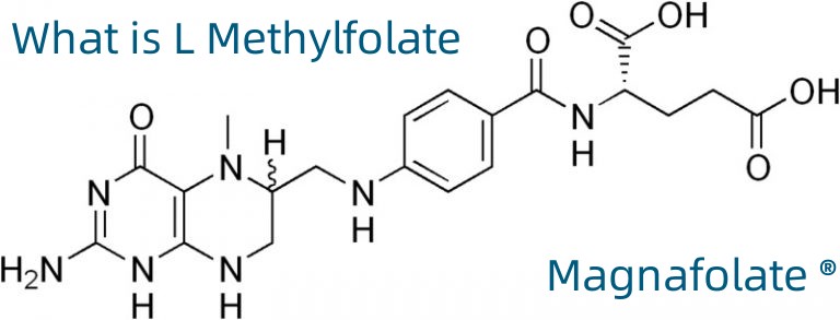 Cad é L Methylfolate?