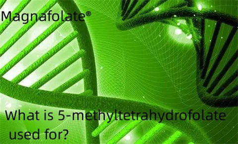 Cén úsáid a bhaintear as 5-meitiltetrahydrofolate?