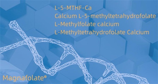 Cailciam L-5-methyltetrahydrofolate Cas151533-22-1