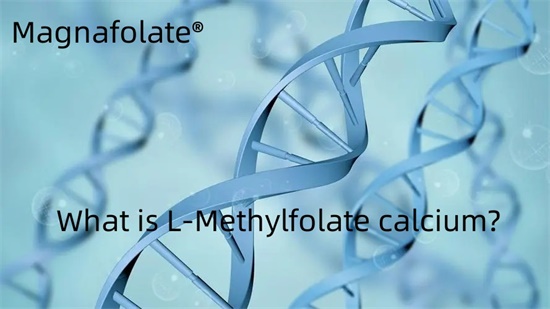 Cad é L-Methylfalate cailciam?