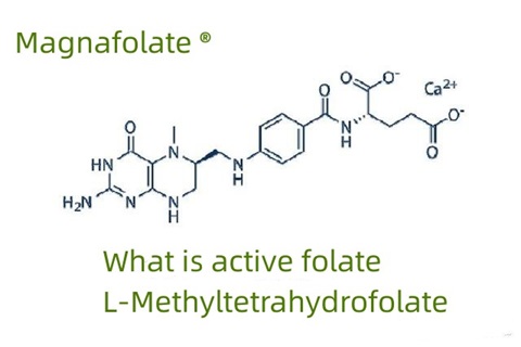 Cad é folate gníomhach agus L-Methyltetrahydrofolate