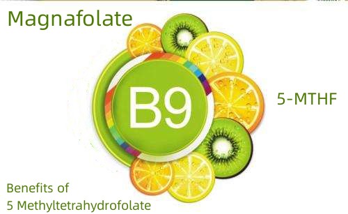 Buntáistí 5 Methyltetrahydrofolate