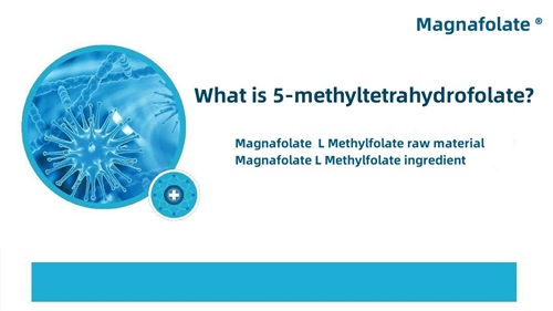 Cad é 5-methyltetrahydrofolate?