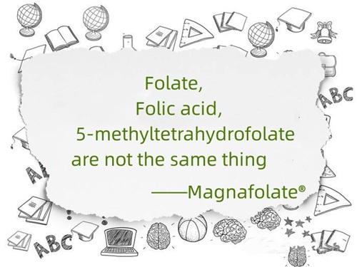 Ní hionann folate, aigéad fólach agus 5-methyltetrahydrofolate