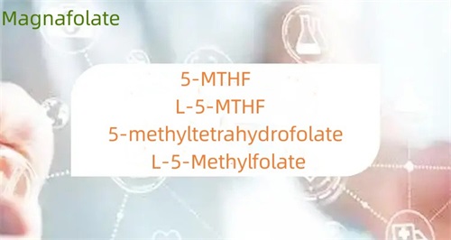 Cad é an difríocht idir 5-methyltetrahydrofolate agus folate