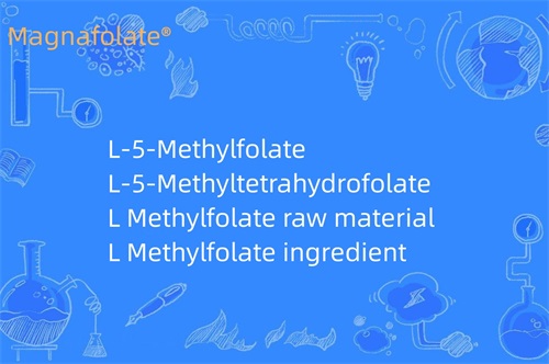 Cad a dhéanann L Methylfolate?