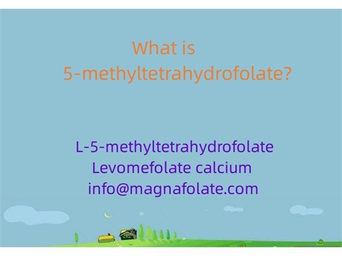 Cad é 5-methyltetrahydrofolate?