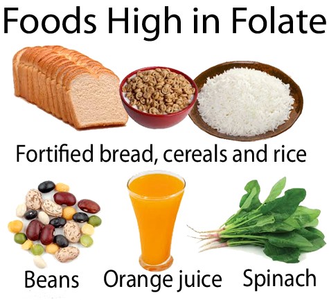 Aicmiú Folate - Folate Aiste Bia