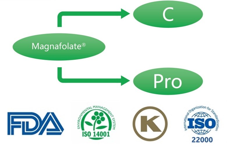 Cad é Cailciam L-5-methyltetrahydrofolate? Cad iad na soláthraithe?