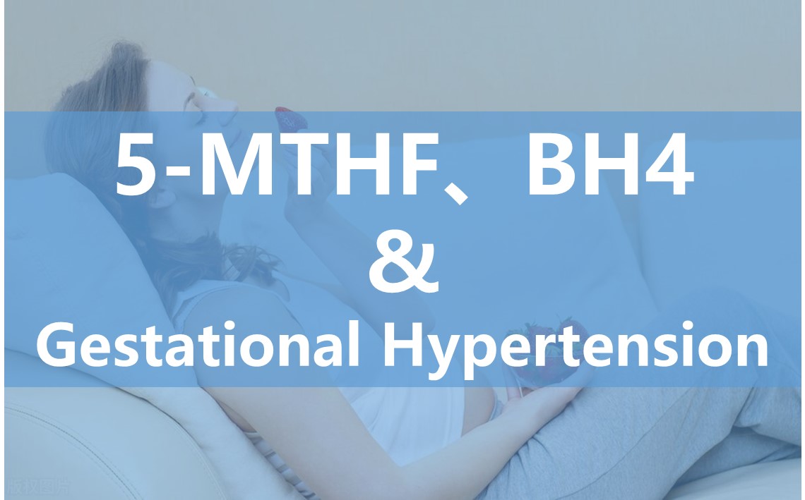 An tionchar a bhíonn ag 6S-5-methyltetrahydrofolate ar fheidhm chill endothelial le linn toirchis agus a chumas i gcóireáil Hipirtheannas iompair